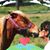 Gaye Murray's profile image