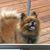Jim Sager's profile image