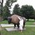Dorothy Halligan's profile image