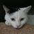Jeff James's profile image