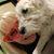 Cheryl King Wade's profile image