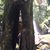 Amilcar De Jesus Moreti's profile image
