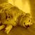 Beth Ellen's profile image