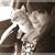 Madison Gardner's profile image