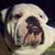 Melissa Metzger Howell's profile image