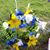 Michele Johnson's profile image
