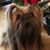 Pat Biddison Zink's profile image