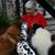 Barbara Peach's profile image
