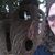 Gale Gleisner's profile image
