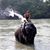 Trisha Young's profile image