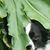Patti Hill Minarich's profile image
