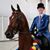 Susan Brunner Wendelschafer's profile image