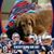 Dave Dubay's profile image