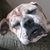 John Beckstein's profile image