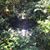 Synae Shelley's profile image