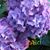 Jenny Johnson's profile image