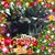 Linda Campbell's profile image
