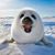Frank Elsperman's profile image