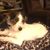 Susan Helmuth's profile image