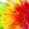 Omo J.'s profile image