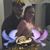 Helen Elder's profile image