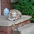 Melinda Pautzke-Melies's profile image