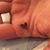 Richele Corbo's profile image