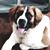 Michele Somers Cullen's profile image