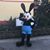 Wendy Johnson's profile image