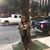 Cynthia Poullard Green's profile image
