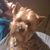Karen Braun's profile image