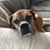 Wendy Sykes's profile image
