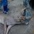 Ashley Brian Wofford's profile image