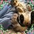 Betsy Buckmaster's profile image