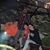 Corinne Singh's profile image