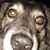 Jacqueline Steiner's profile image