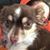 Myra Aaron Tripp's profile image
