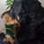 Donna Bee's profile image