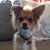 Dawn M Anderson's profile image