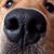 Scottie Combs's profile image