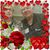Carol A Garcia's profile image