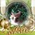 Lisa Veldhuizen McCabe's profile image