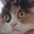 Jan Rewel's profile image