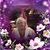 Diane Moilanen's profile image