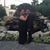 Fiol Puntiel's profile image