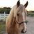 Robin Vallier's profile image