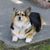Irene Florer's profile image