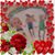 Maryn Newberg's profile image