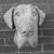 JoAnn C. Myers's profile image