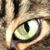 Beth Goddard's profile image